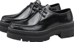 Lloyd HAVEN 170 Black Best