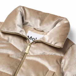 Havi 2><noscript><img width=