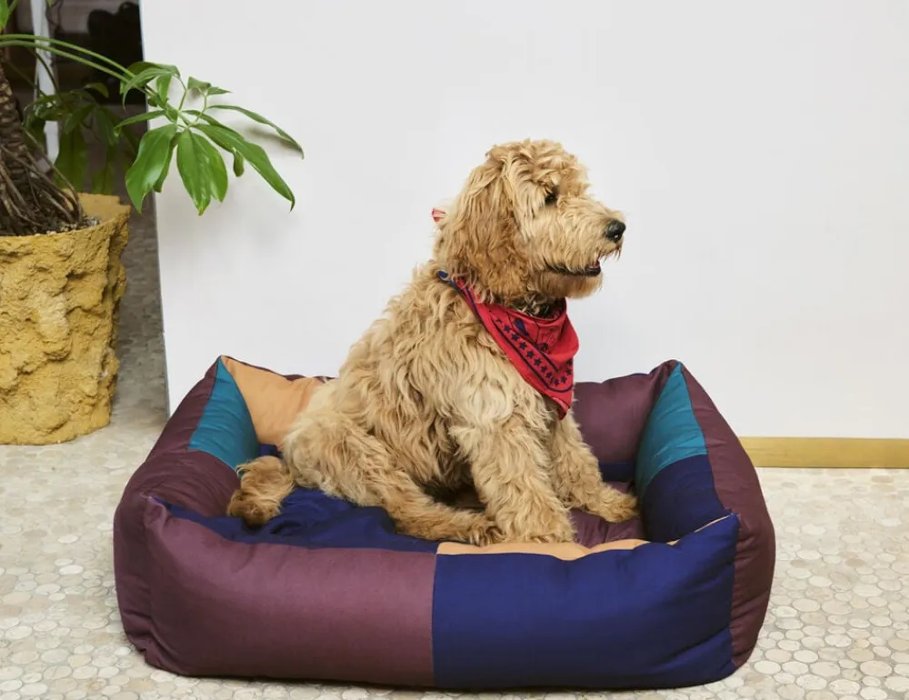 Hay Dogs Bed-Large-Burgundy, green Outlet