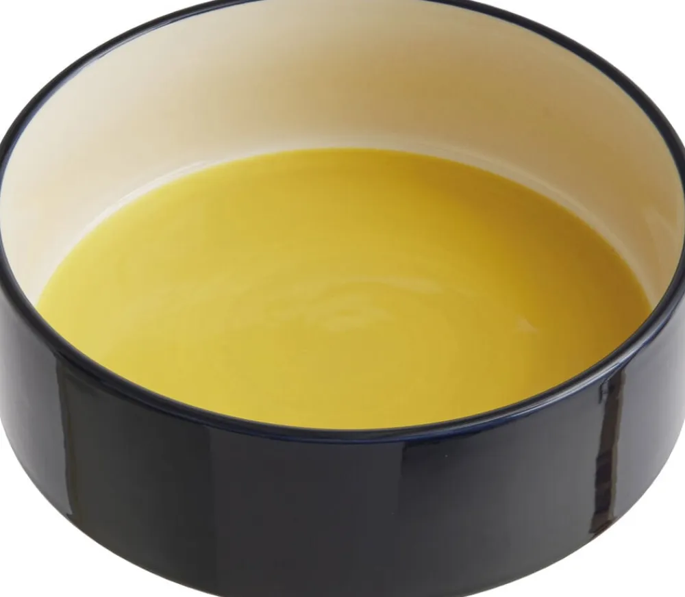 Hay Dogs Bowl-Large-Yellow, blue Hot