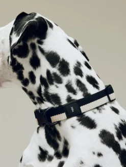 Hay Dogs Collar Flat-M/L-Black, whi