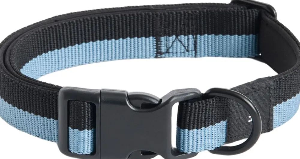 Hay Dogs Collar Flat-M/L-Blue, blac New