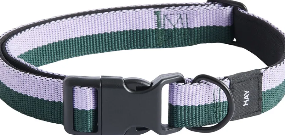 Hay Dogs Collar Flat-M/L-Lavender, New