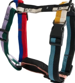 Hay Dogs Harness-Medium-Multi colou