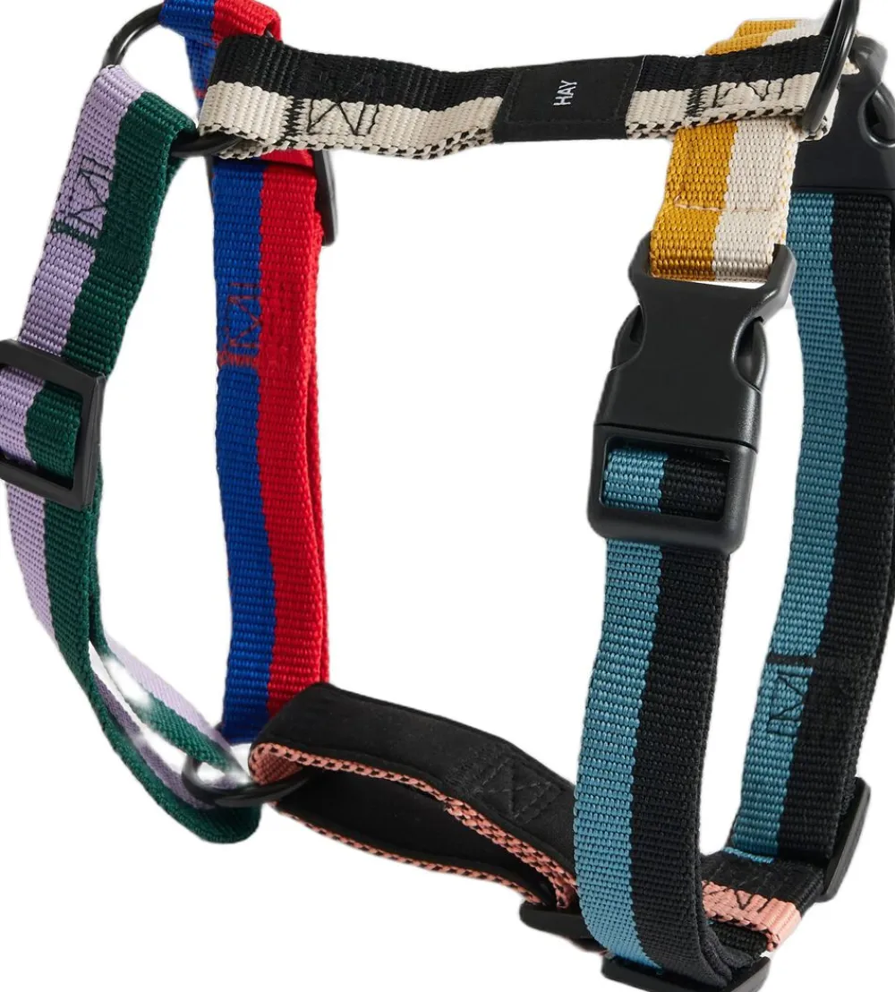 Hay Dogs Harness-Medium-Multi colou