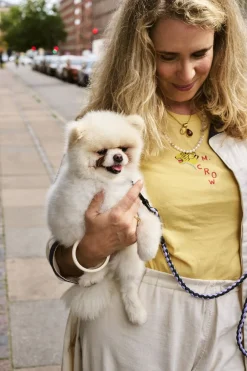Hay Dogs Leash-Braided-Lavender, gr Hot