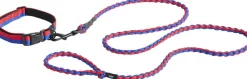 Dogs Leash-Braided-Red, blue>Hay Clearance