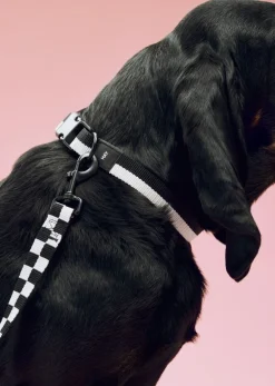 Hay Dogs Leash-Flat Check M/L-Black Clearance