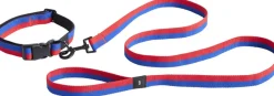 Dogs Leash-Flat M/L-Red, blue>Hay Online