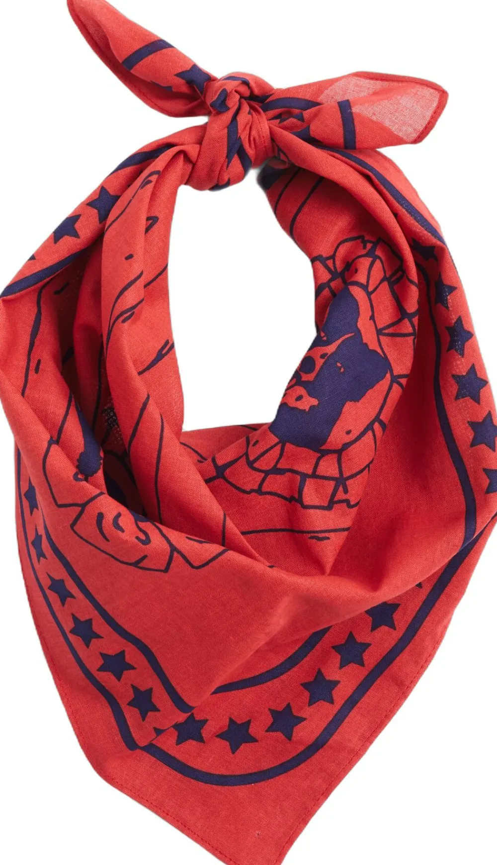 Dogs Scarf Recycled-55 x 55-R>Hay New