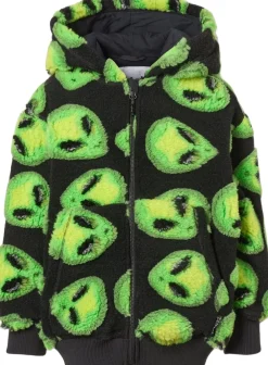 Hazzy><noscript><img width=