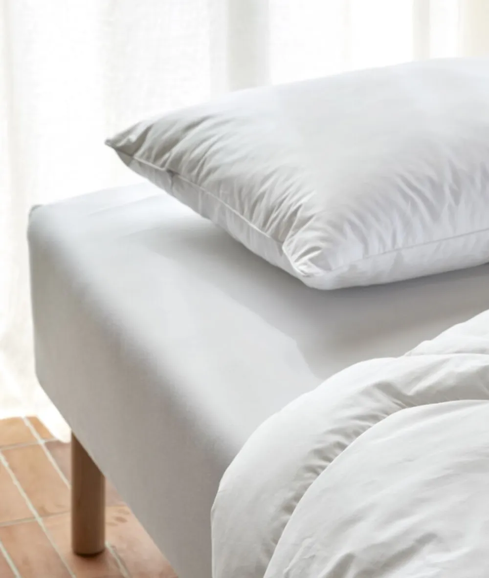 Høie Allergo AAN Pude 60x63