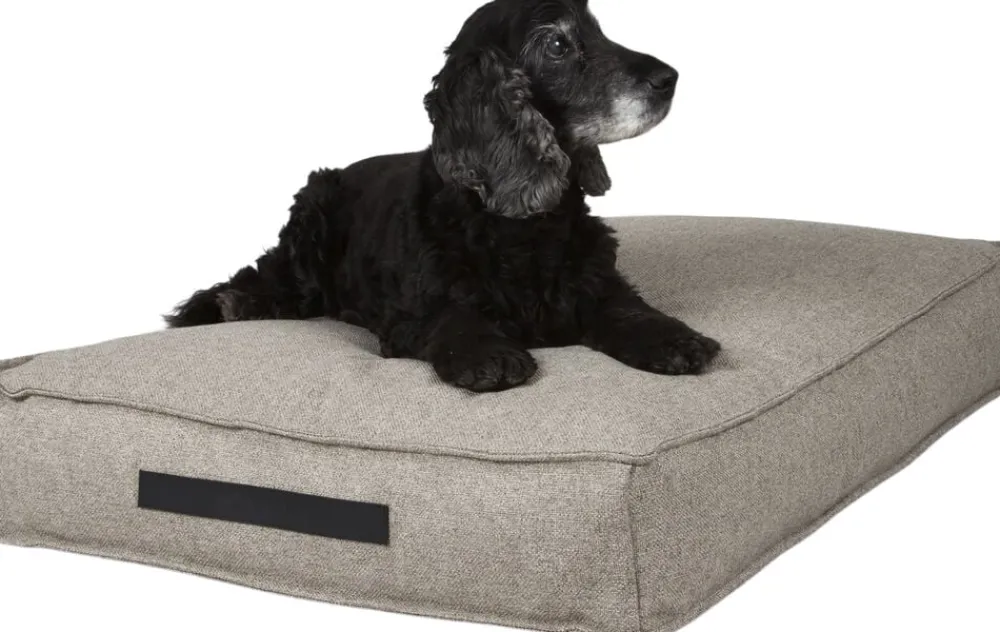 Nordog Hundepude HYGGE Cappuccino Sale