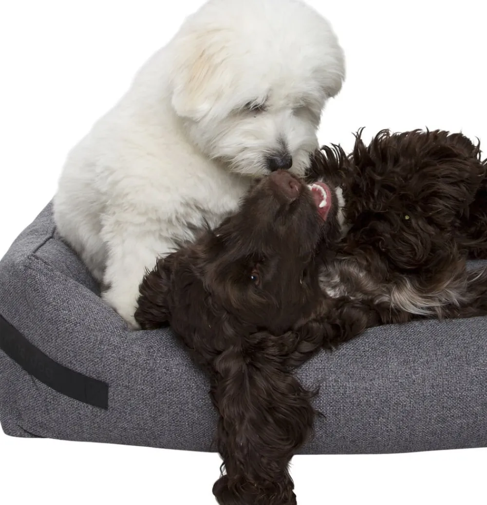 Nordog Hundeseng HYGGE Anthracite Sale