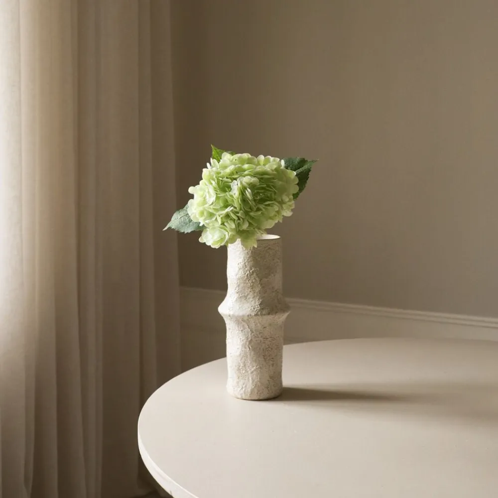 Botané Hydrangea Flower