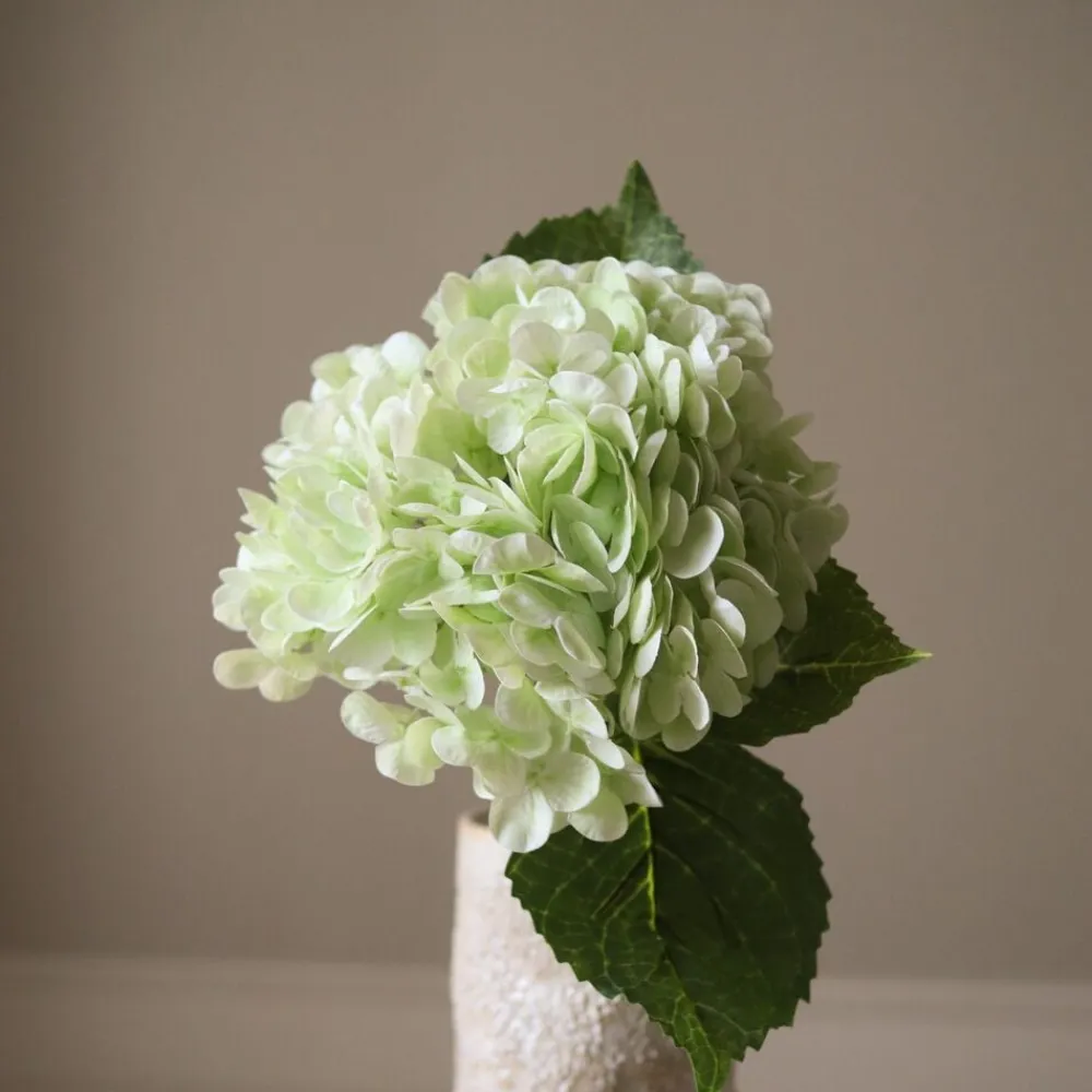 Botané Hydrangea Flower