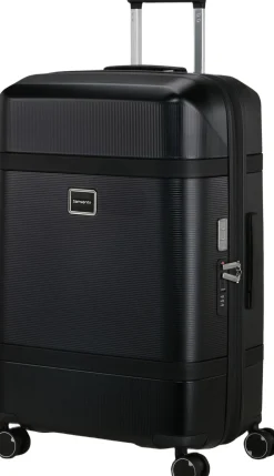 Dame Samsonite Image