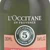 L'Occitane Intensive Repair Conditioner 250ml
