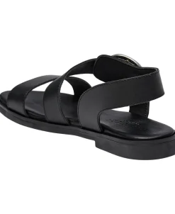 Pavement Isolda Black Clearance