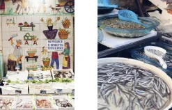 Italian Coastal><noscript><img width=