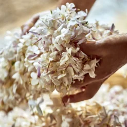 DIOR J'adore Eau de parfum