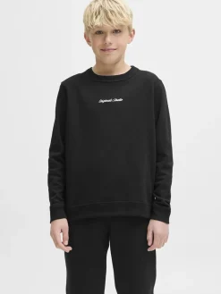 Børn Jack & Jones JORNORREBRO EMB SWEAT CREW NOOS JNR