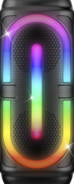 Børn Legetøj KARAOKEHØJTALERmMIC 2x4