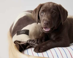 OYOY Living Design Kaya Hundetæppe - Medium