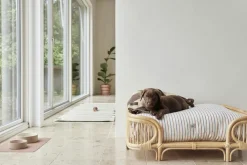 OYOY Living Design Koko Hundeskål Måtte