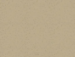 OYOY Living Design Koko Hundeskål Måtte