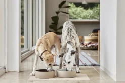 OYOY Living Design Koko Hundeskål Måtte