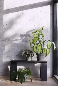 Muubs Krukke Mosu 16