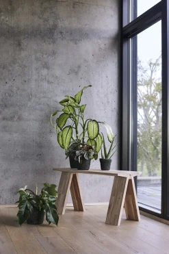 Muubs Krukke Mosu 16