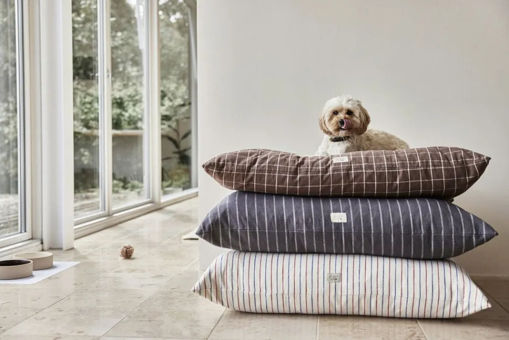 Kyoto Hundepude - Medium>OYOY Living Design Discount