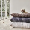 Kyoto Hundepude - Medium>OYOY Living Design Discount