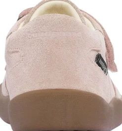 Lane><noscript><img width=