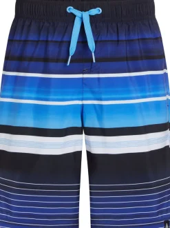 Firefly Lario Ripper Badeshorts Blå Discount