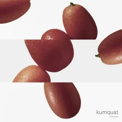 HERMÈS Le Jardin de Monsieur Li Eau de Toilette No color Online