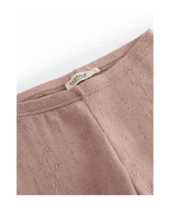 Leg><noscript><img width=