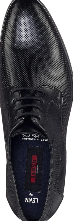 Lloyd LEVIN Black Online