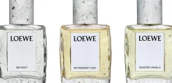 LOEWE Crafted Collection Bittersweet Oud Eau de Parfum 100 ml><noscript><img width=