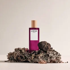 LOEWE Earth Eau de Parfum>Loewe Perfumes Outlet