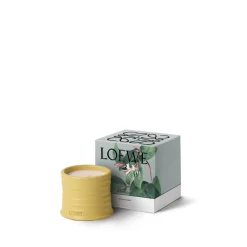 Loewe Perfumes LOEWE Honeysuckle Candle Hot