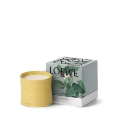 Loewe Perfumes LOEWE Honeysuckle Candle Hot