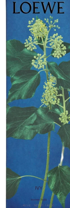 Loewe Perfumes LOEWE Ivy Incense Sticks Refill Online