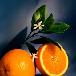 LOEWE Orange Blossom Room Spray 150 ml><noscript><img width=