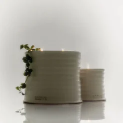 LOEWE Oregano Soap Bar><noscript><img width=