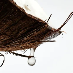 Loewe Perfumes LOEWE Paulas Ibiza Eau de Toilette Online