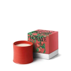 Loewe Perfumes LOEWE Tomato Leaves Candle Best