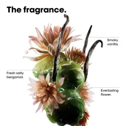 Absolut Repair Molecular Discovery Set Mini: Sha><noscript><img width=